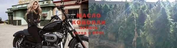 соль ск Волосово