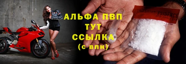 соль ск Волосово