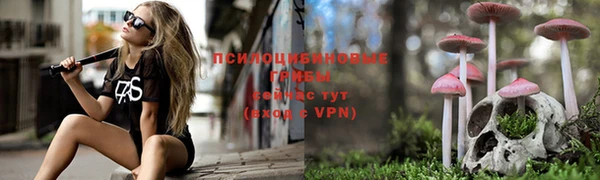 соль ск Волосово