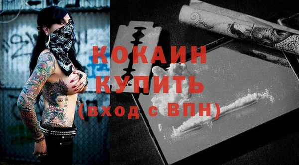 соль ск Волосово