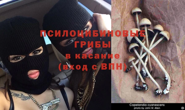 ГАЛЛЮЦИНОГЕННЫЕ ГРИБЫ Володарск