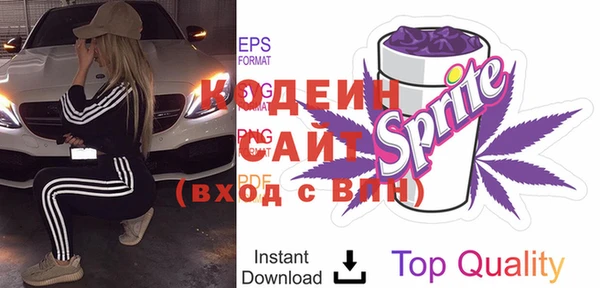 соль ск Волосово